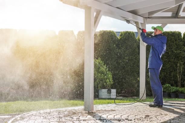 Best House Exterior Washing  in Pontoon Beach, IL