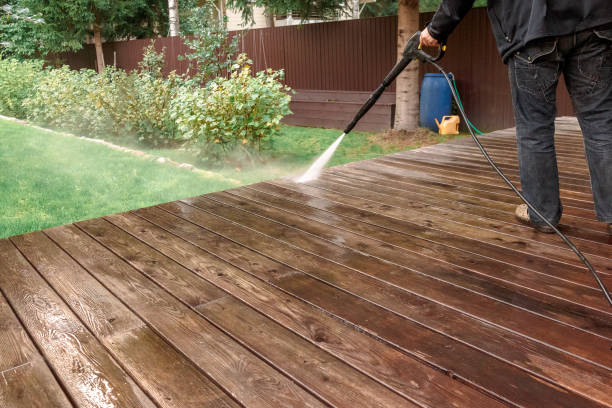 Best Animal Enclosure Cleaning  in Pontoon Beach, IL